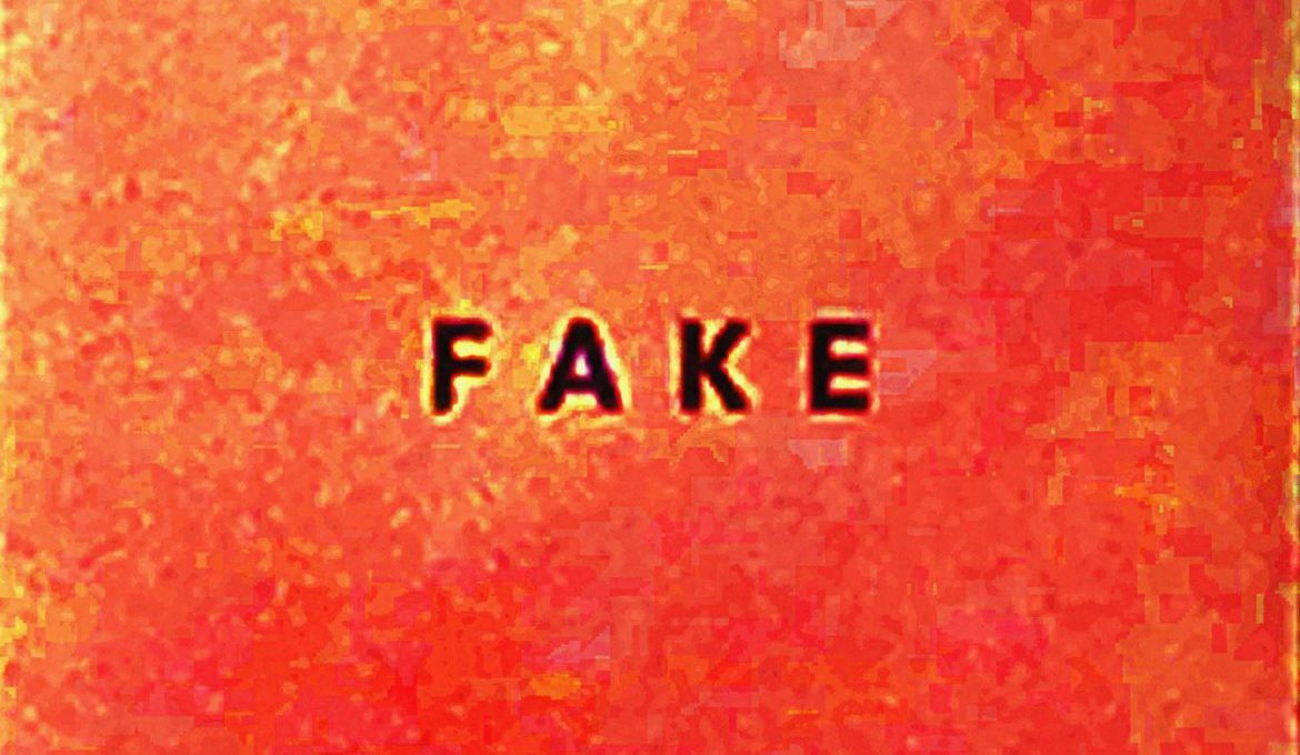 Albumcover von Die Nerven - "Fake"