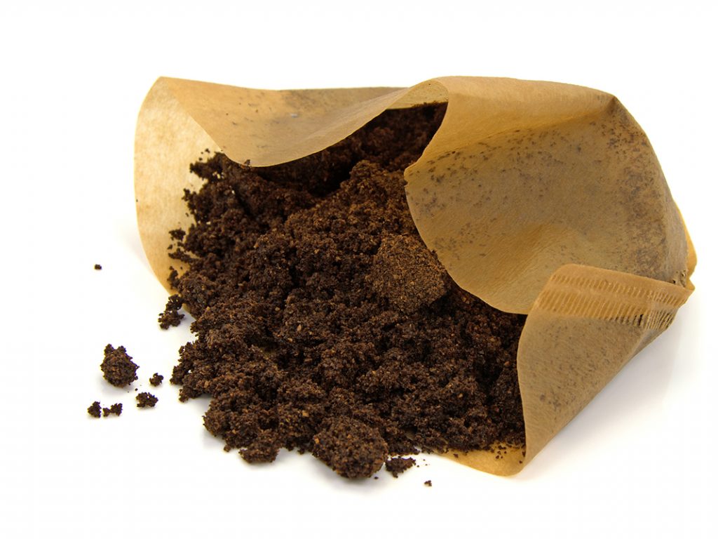 Ein Kaffeefilter mit Kaffeesatz